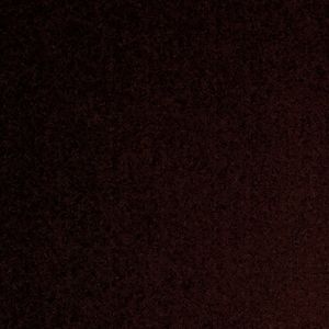 Meet your Posher, Rasika